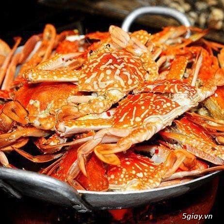Ghẹ Sống LaGi - Cung cấp Sỉ Lẻ ghẹ tại SG - Nhận chế biến và giao tận nơi