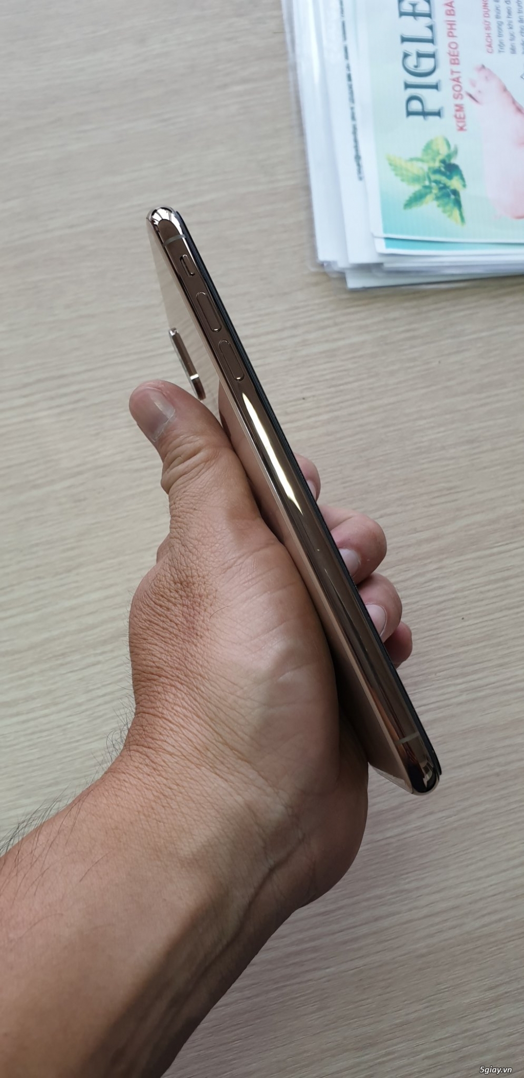 Bán iPhone XS Max 256gb màu Gold quốc tế còn bh tại apple - 1