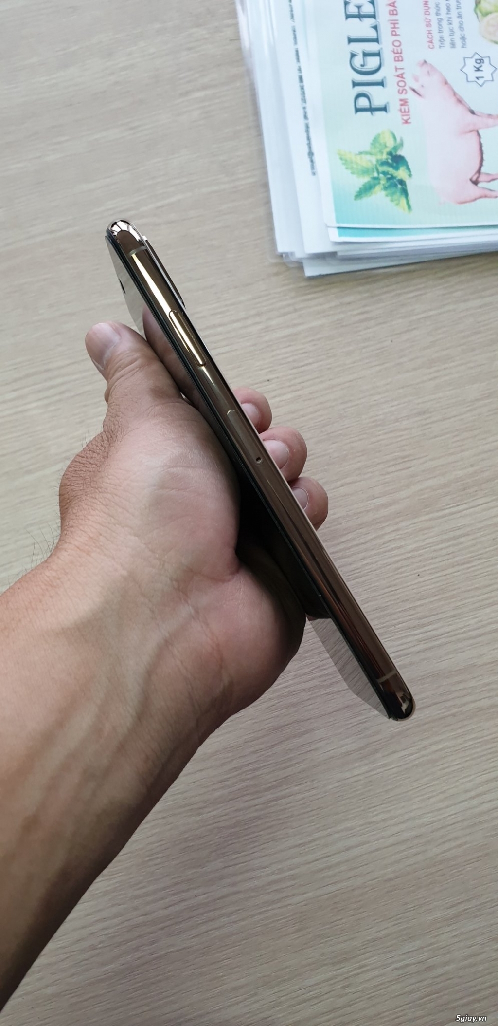 Bán iPhone XS Max 256gb màu Gold quốc tế còn bh tại apple - 4