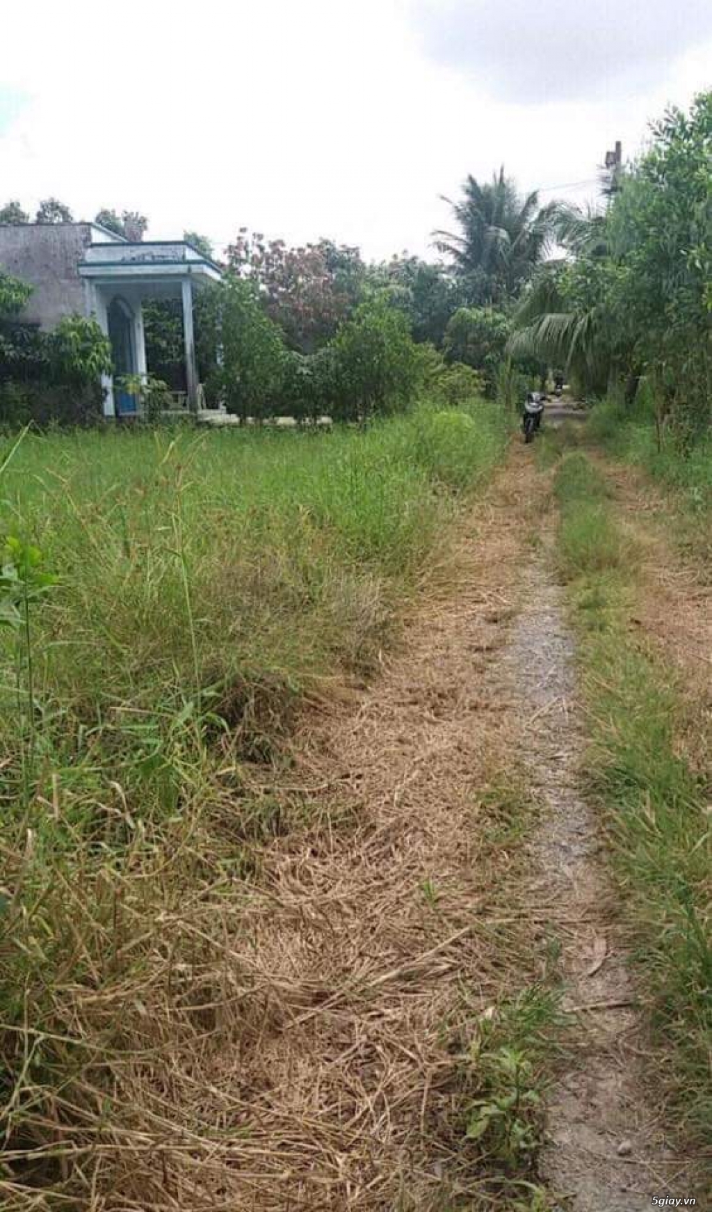 Bán đất Bình Chánh - 2