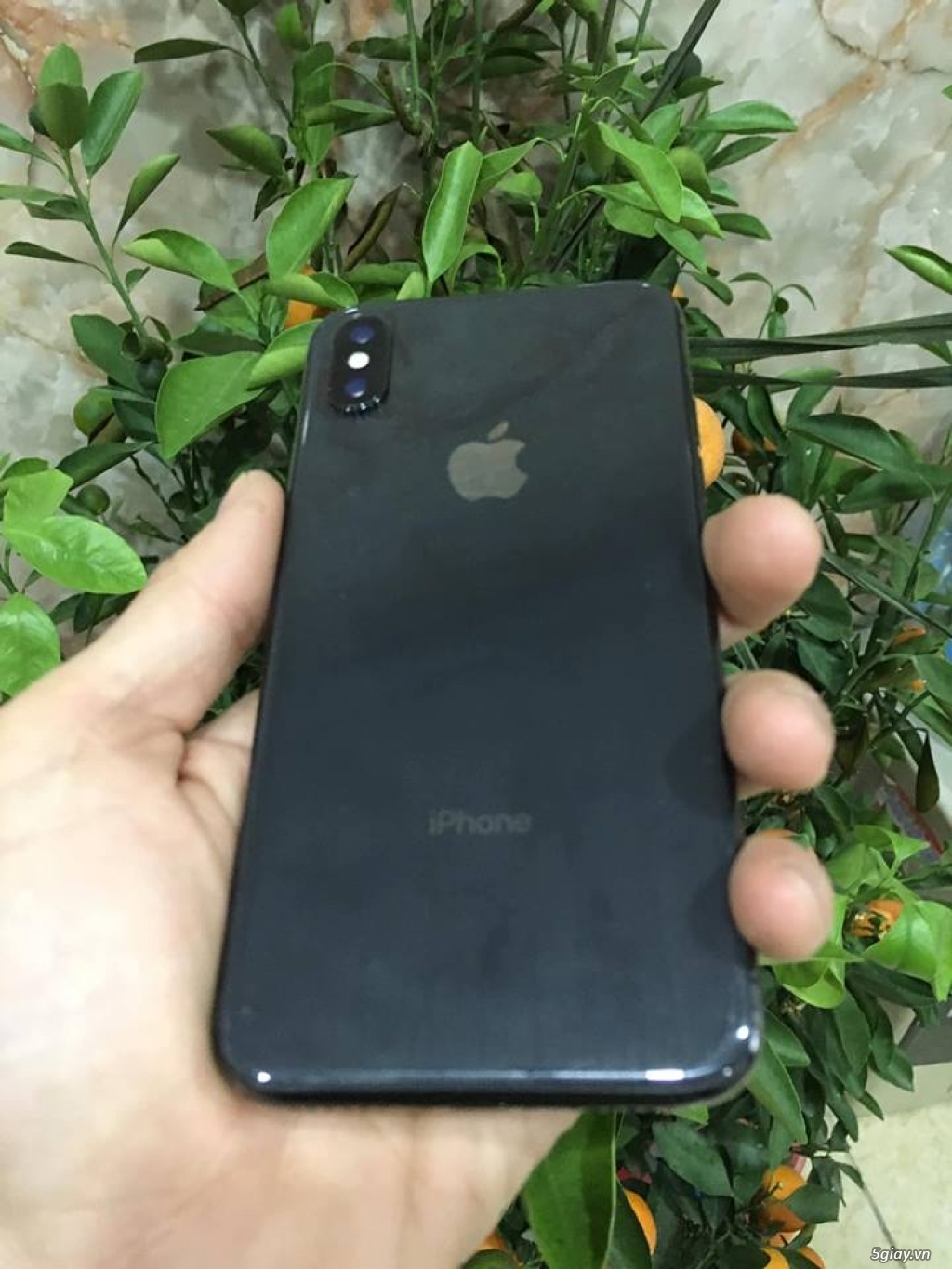 IPHONE X 256GB ZIN ALL ĐẸP 99% GIÁ BÁN NHANH máy VN nhé - 2