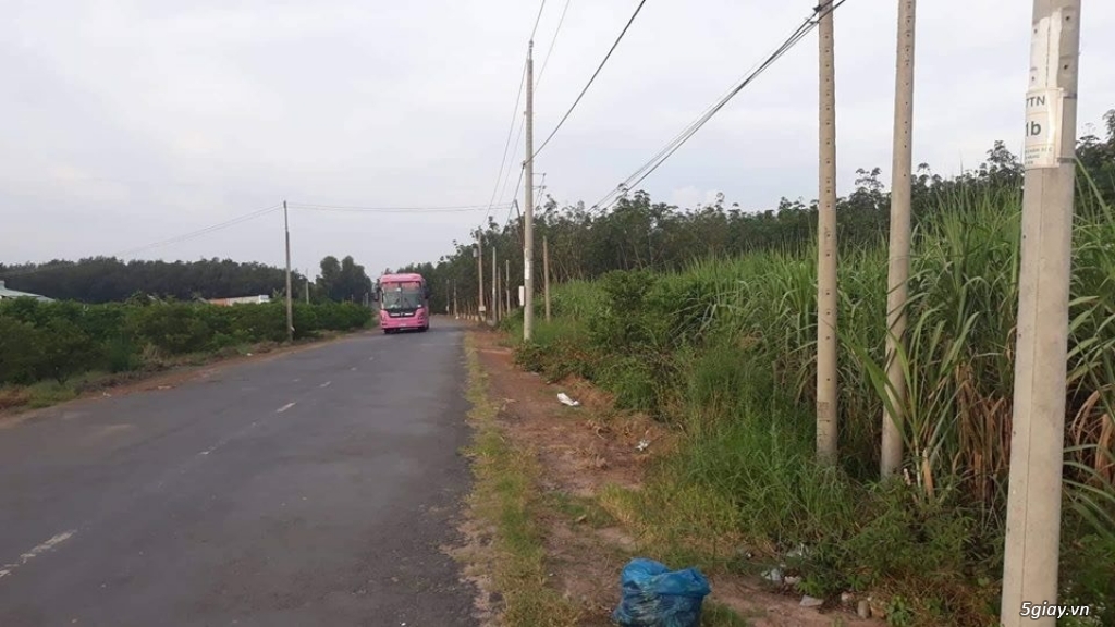 Bán đất Tây Ninh - 9