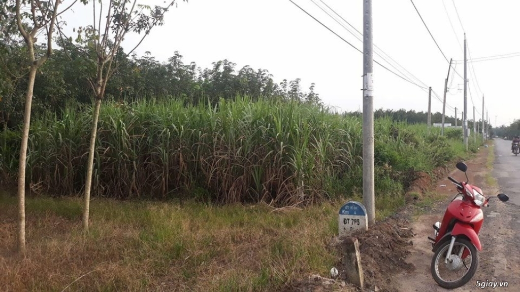 Bán đất Tây Ninh - 1