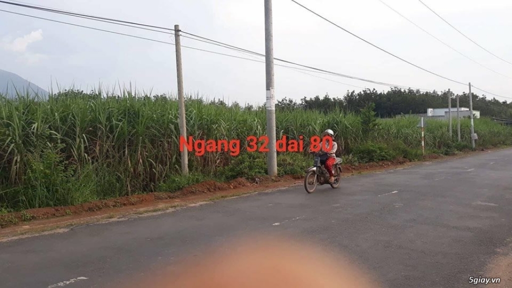 Bán đất Tây Ninh - 2