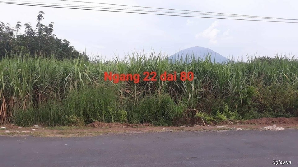 Bán đất Tây Ninh - 8