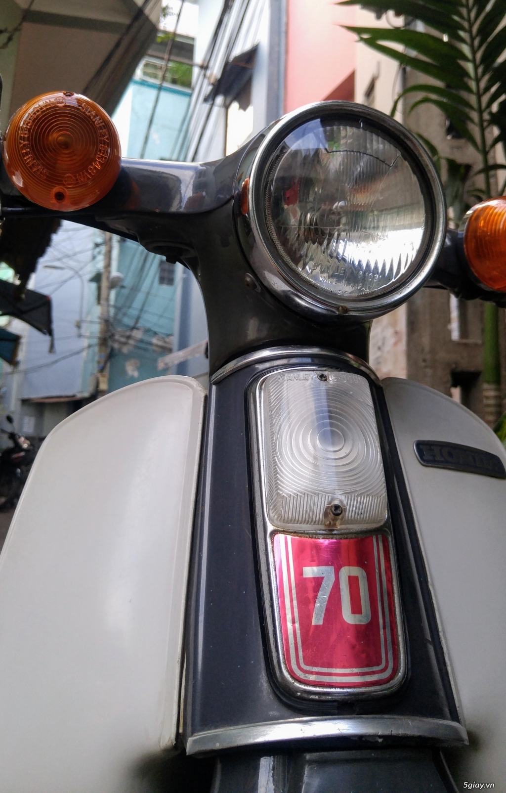xe cup 78/70cc zin cho ai đam mê - 3