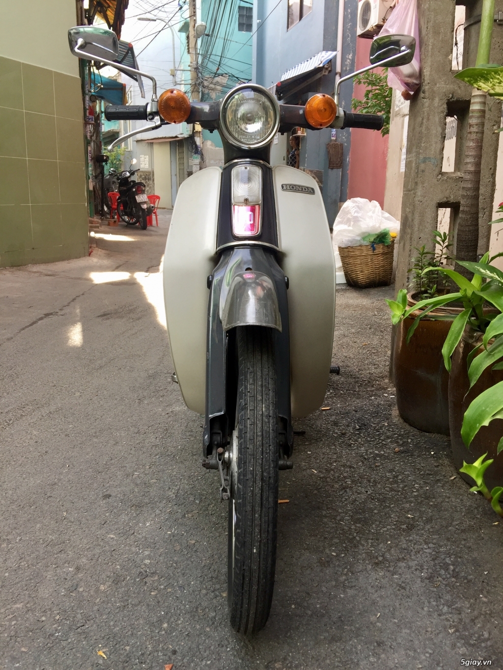 xe cup 78/70cc zin cho ai đam mê