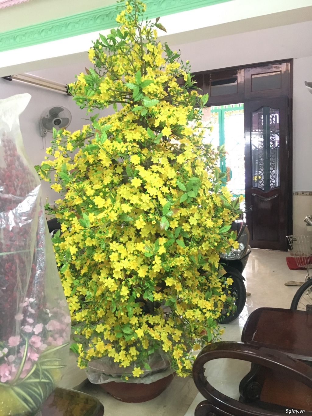 Cần bán mai giả - 1