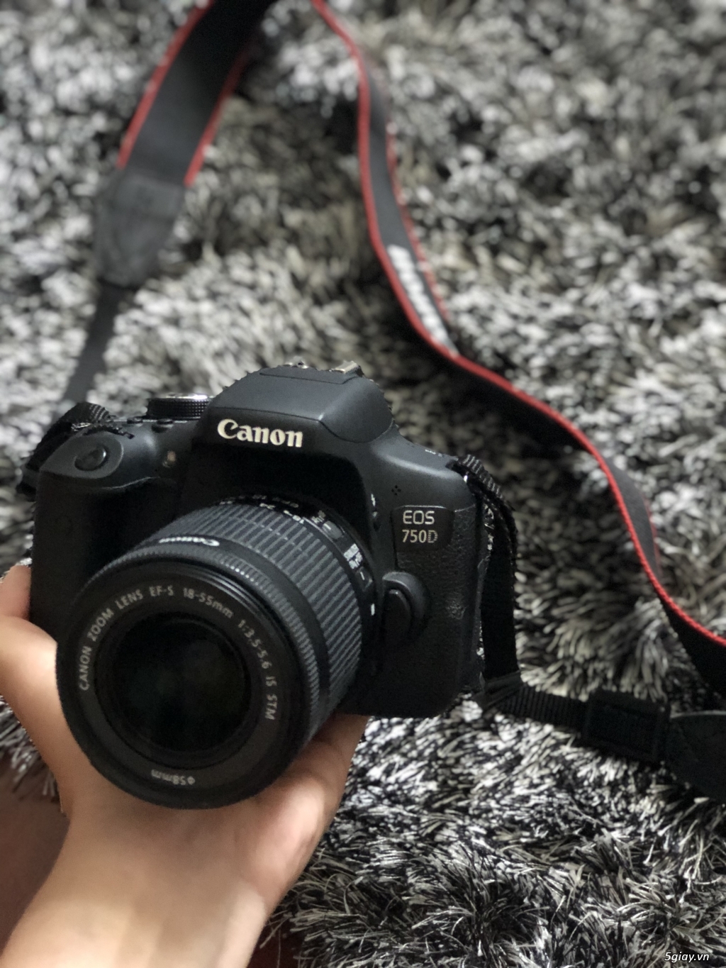 Canon DSLR 750D (body + lens kit 1855) new 99 5giay