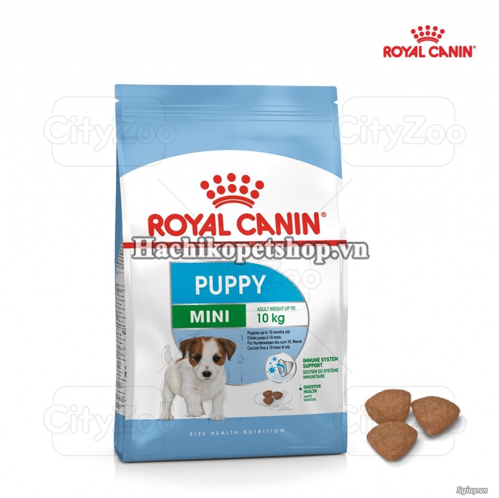HCM - THỨC ĂN CHÓ MÈO ROYAL CANIN NHẬP KHẨU TỪ PHÁP. HÀNG CHÍNH HÃNG