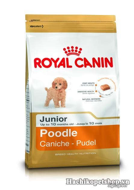 HCM - THỨC ĂN CHÓ MÈO ROYAL CANIN NHẬP KHẨU TỪ PHÁP. HÀNG CHÍNH HÃNG - 8