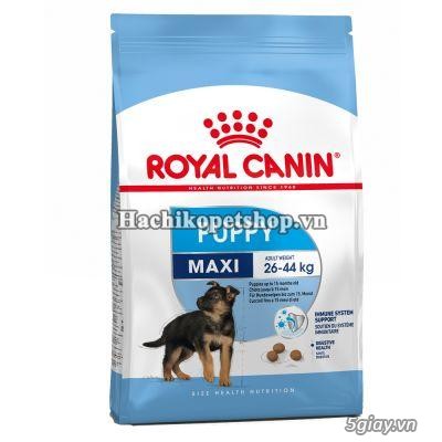 HCM - THỨC ĂN CHÓ MÈO ROYAL CANIN NHẬP KHẨU TỪ PHÁP. HÀNG CHÍNH HÃNG - 4