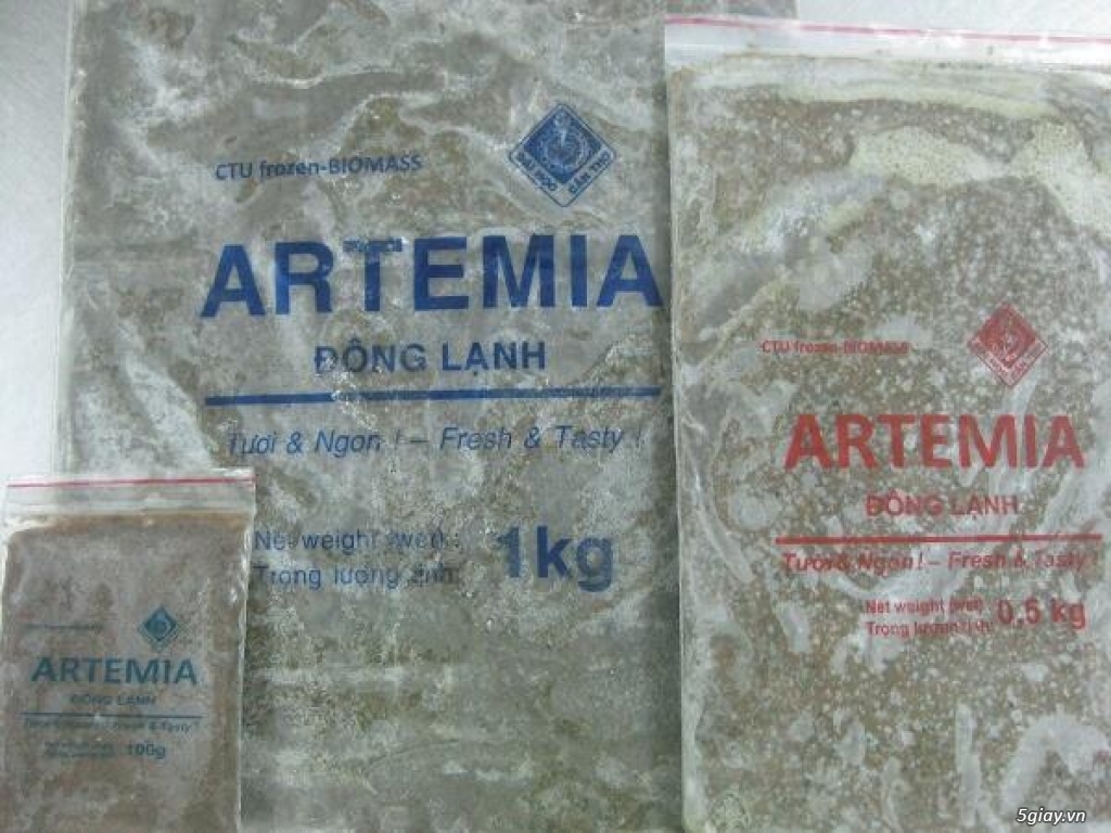 Trùng Huyết, Artemia sinh khối cao cấp, bobo thức ăn cao cấp cá cảnh ! - 2