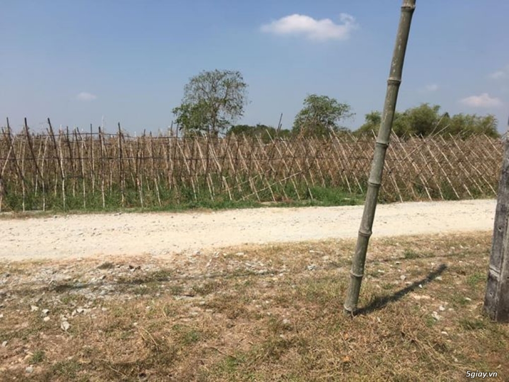 Bán lô đất vườn hơn 8000m2 Đức Hoà, Long An