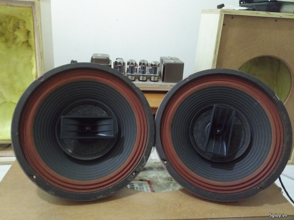 Bán loa electro voice 12 trxb , loa gởi từ Mỹ về,  còn rất mới. - 1