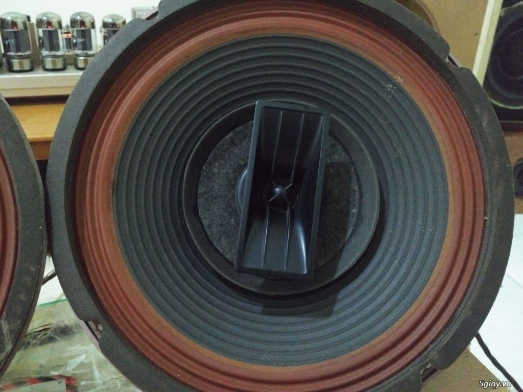 Bán loa electro voice 12 trxb , loa gởi từ Mỹ về,  còn rất mới. - 2