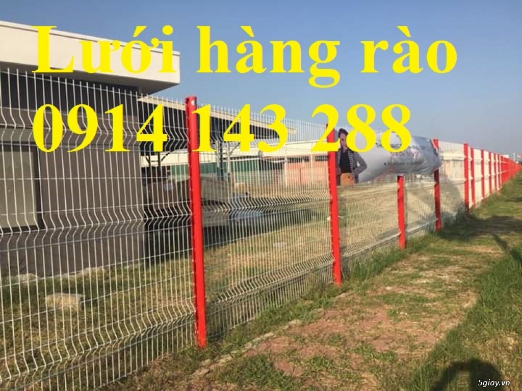 Hàng rào sơn tĩnh điện D5(50*100) chất lượng cao giá sản xuất - 4