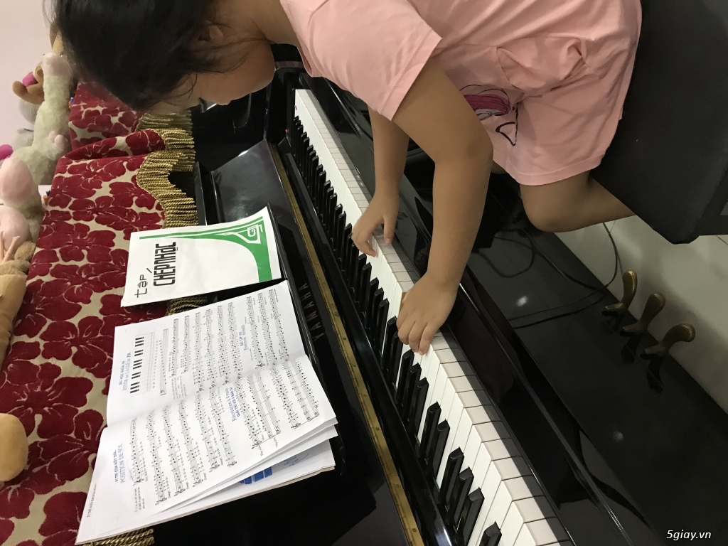 Sinh Viên Nhạc Viện Dạy Kèm Organ Piano tại nhà