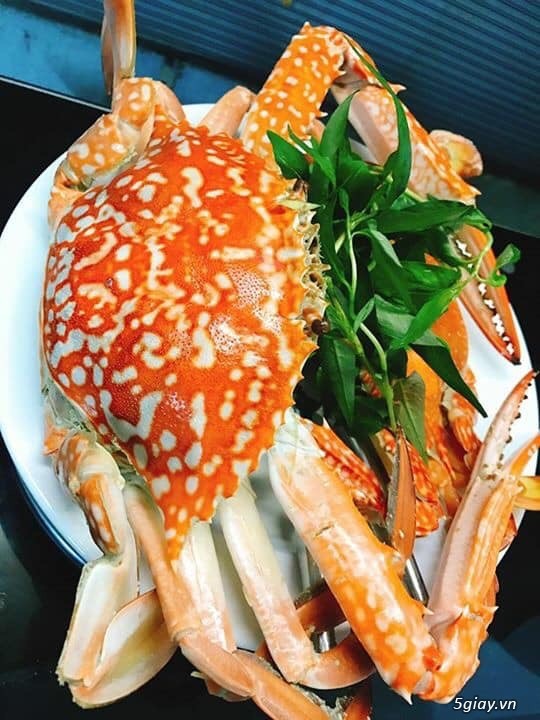 Ghẹ Sống LaGi - Cung cấp Sỉ Lẻ ghẹ tại SG - Nhận chế biến và giao tận nơi