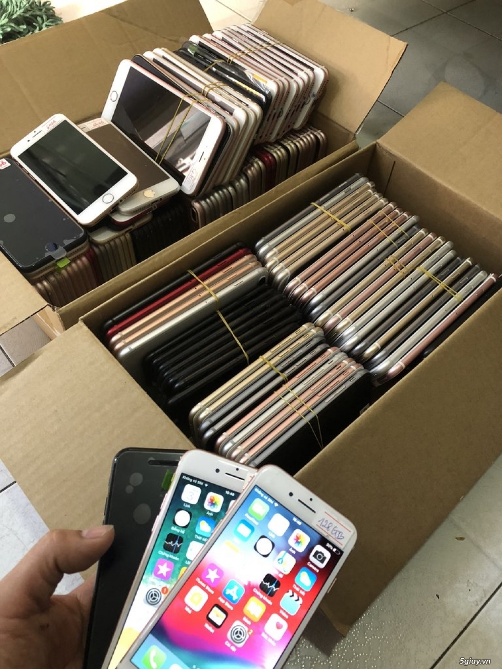 máy iphone 6s, 7, 6 plus, 7 plus cho anh em của hàng - 1
