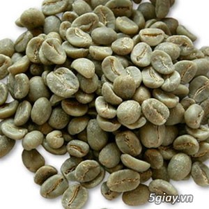 Cà phê nhân Arabica S18