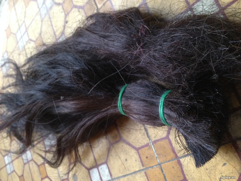 Cần thu mua lông đuôi bò - 3