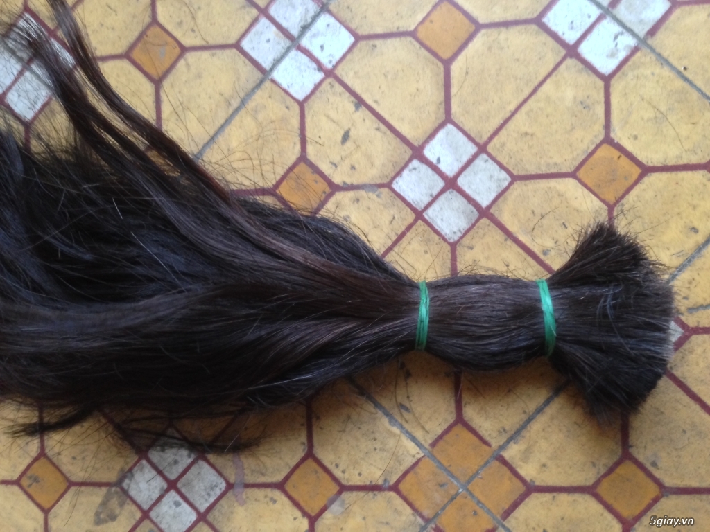 Cần thu mua lông đuôi bò - 2