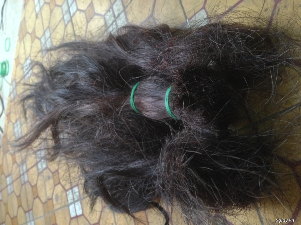 Cần thu mua lông đuôi bò - 1