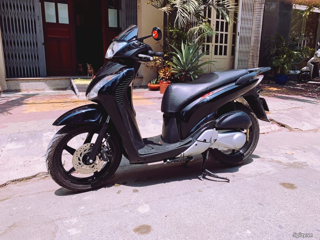 SH 150 mẫu ý sm 5009 - 1