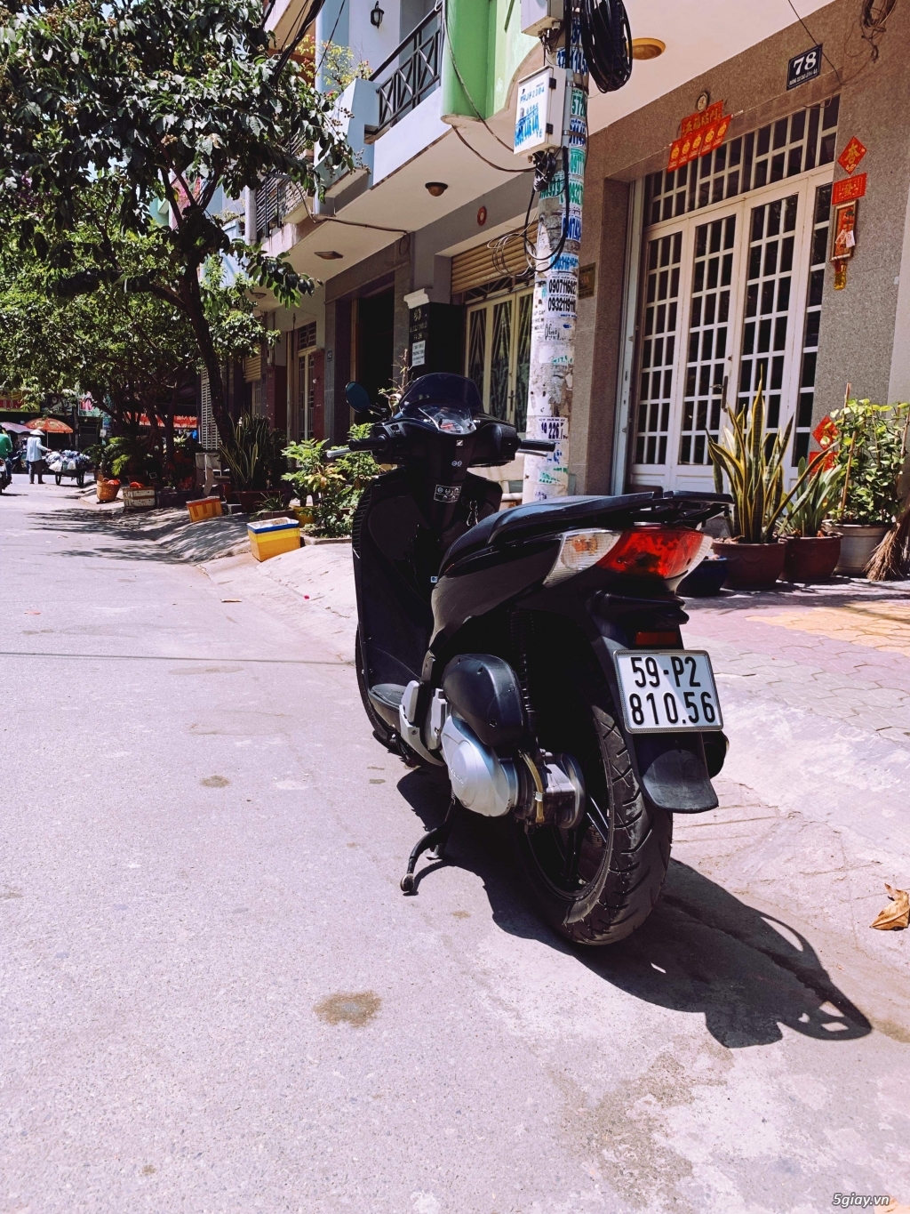 SH 150 mẫu ý sm 5009 - 4