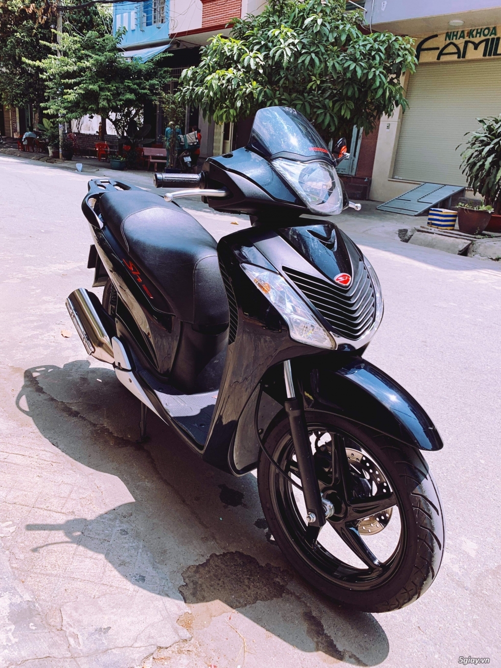 SH 150 mẫu ý sm 5009 - 3