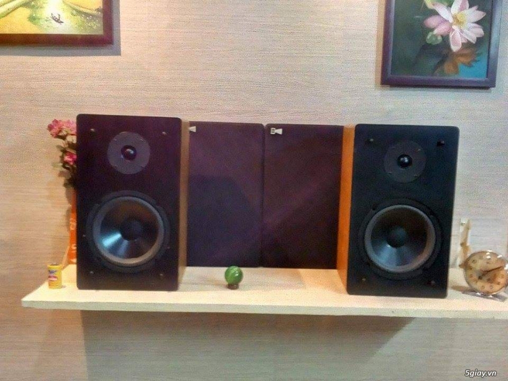 Loa RSL mỹ