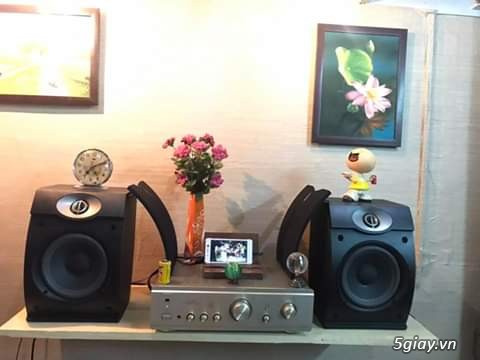 Loa bose 301 seri 5 hàng bãi - 1