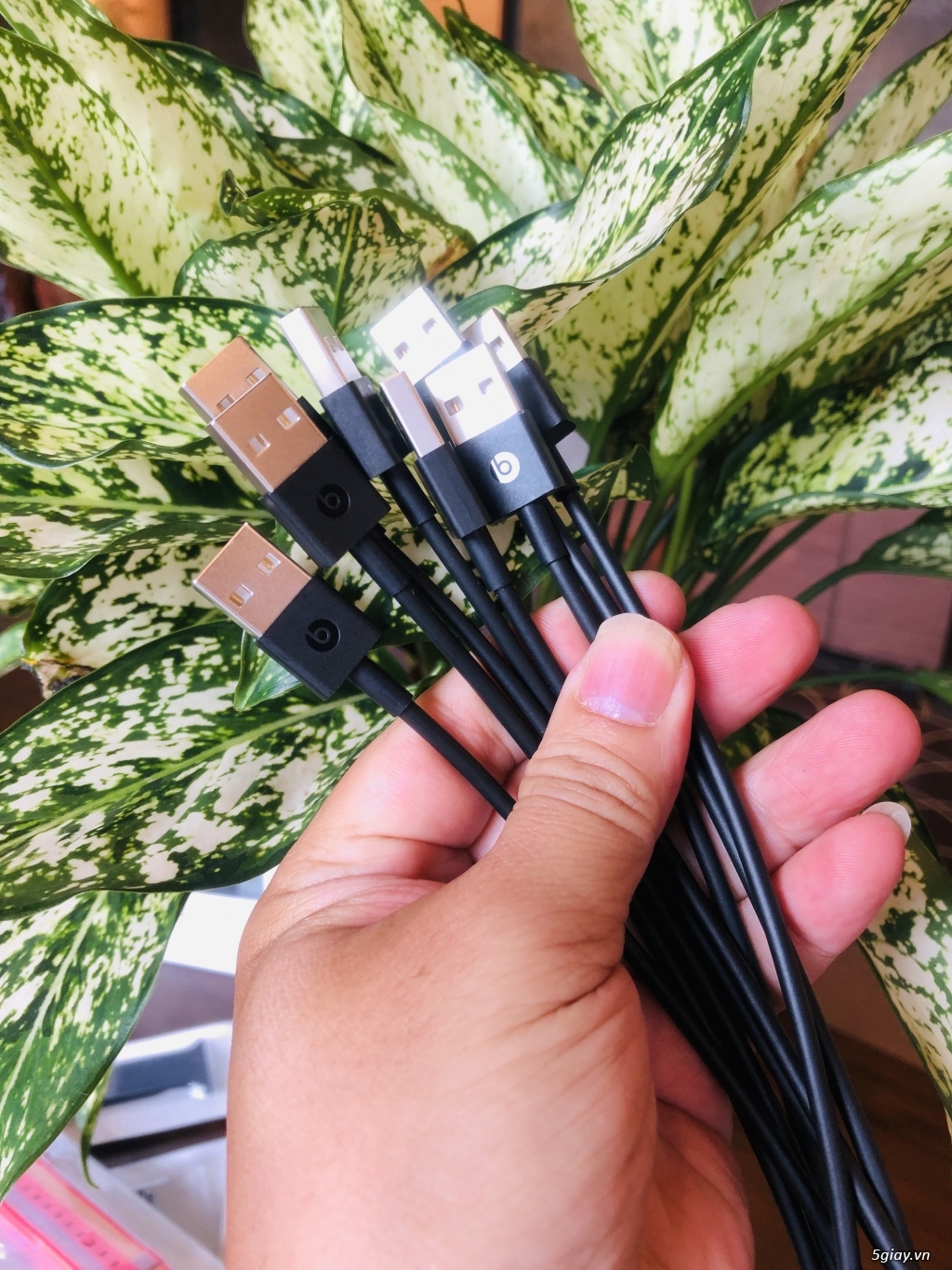 phụ kiện chính hãng APPLE - 4