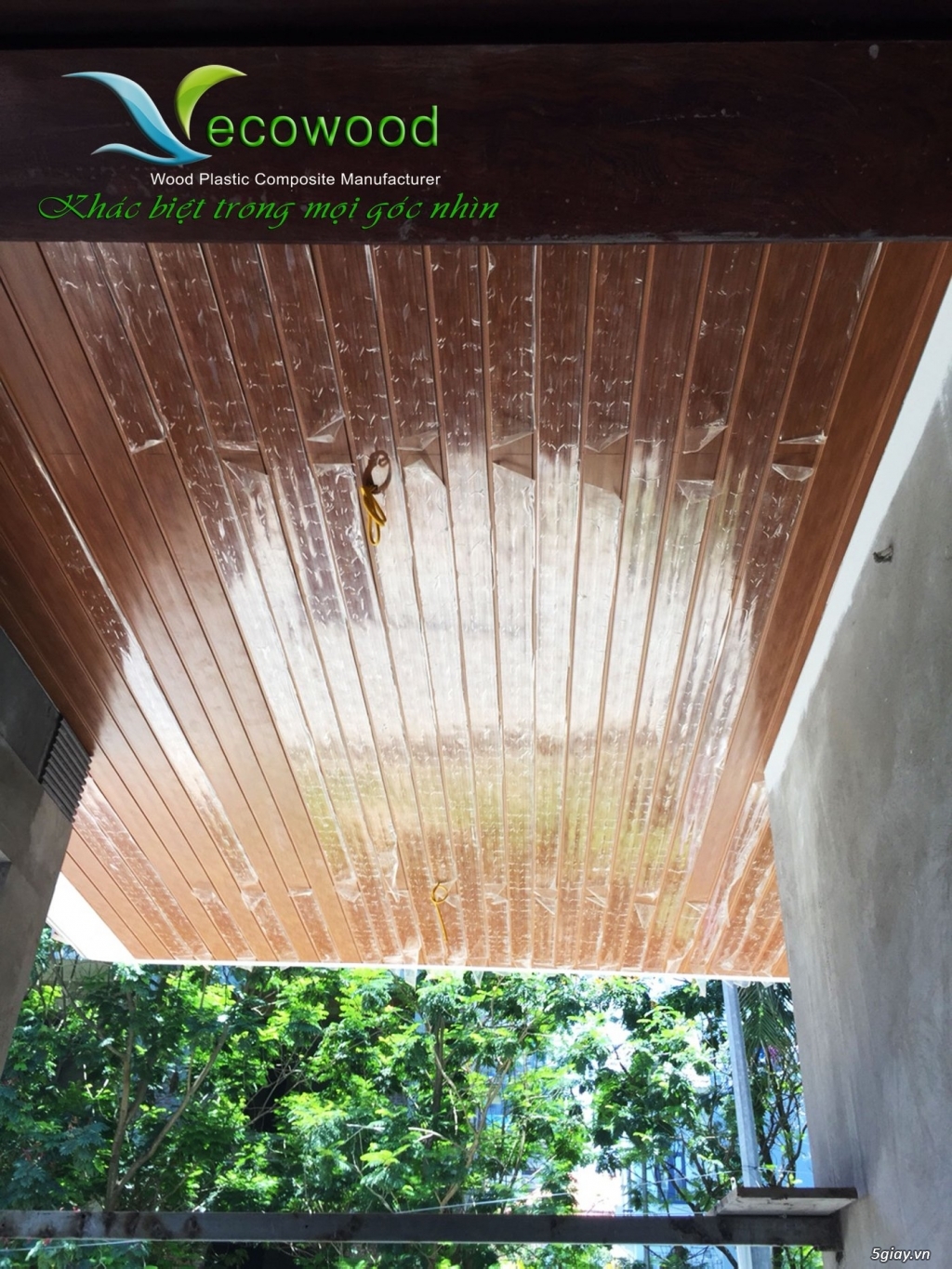Tấm ốp tường trần từ gỗ nhựa EcoWood - 5