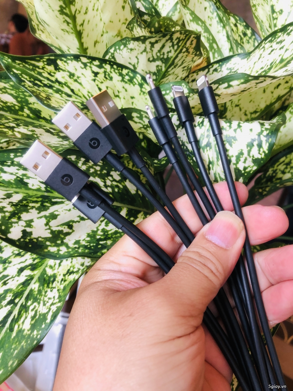 phụ kiện chính hãng APPLE - 3