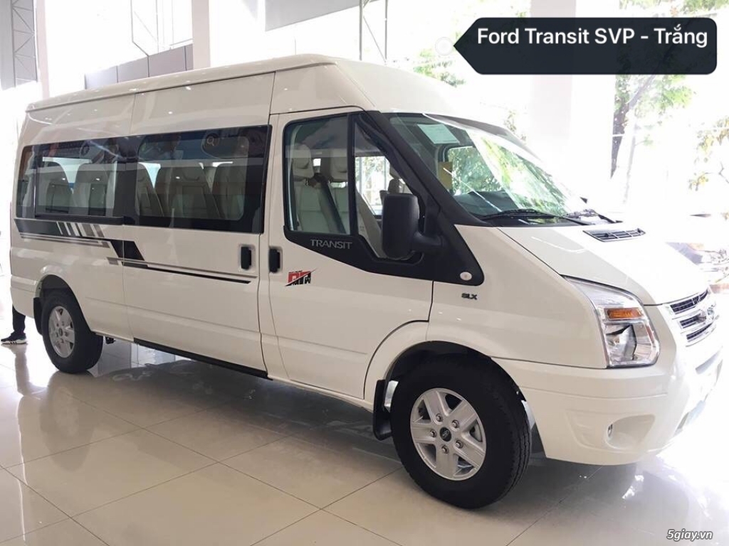 Ford Transit & Ecosport - 1