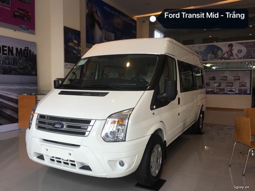 Ford Transit & Ecosport - 4