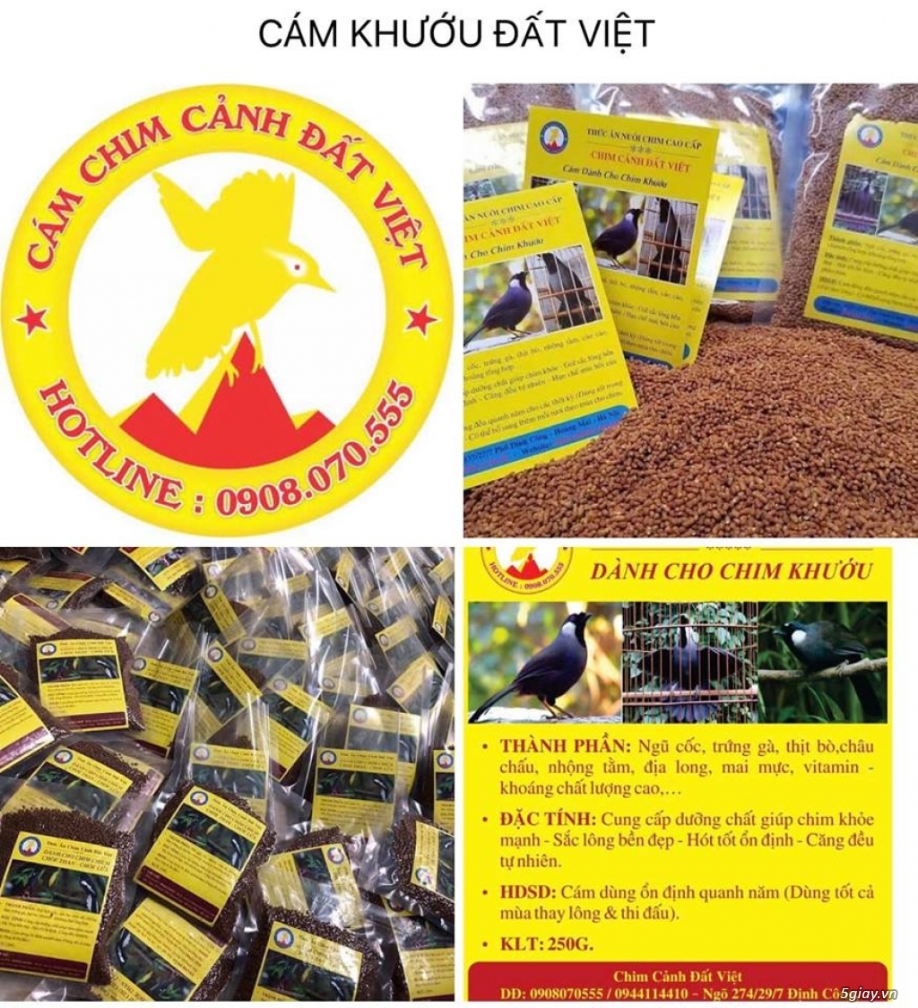 Mua Bán Đa Dạng Các Chim Cảnh Độc Lạ, Hót Hay, Giá Rẻ Toàn quốc Mua Bán Đa Dạng Các Chim Cảnh Độc Lạ, Hót Hay, Giá Rẻ Toàn quốc
