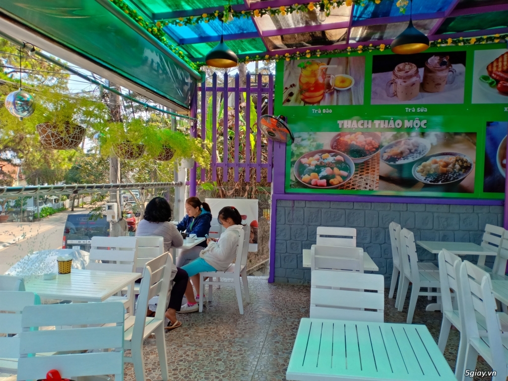 Pini Ice Cream - Thiên Đường Của Các Loại Kem Và Nước Ép Trái Cây Tươi