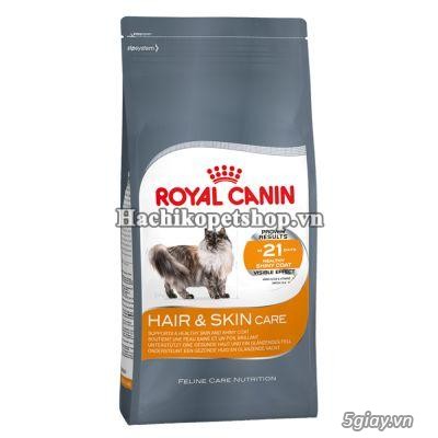 HCM Q10 - Thức ăn cho mèo ROYAL CANIN - Nhập khẩu Pháp. - 5