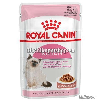 HCM Q10 - Thức ăn cho mèo ROYAL CANIN - Nhập khẩu Pháp. - 14