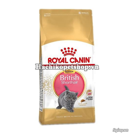 HCM Q10 - Thức ăn cho mèo ROYAL CANIN - Nhập khẩu Pháp. - 9
