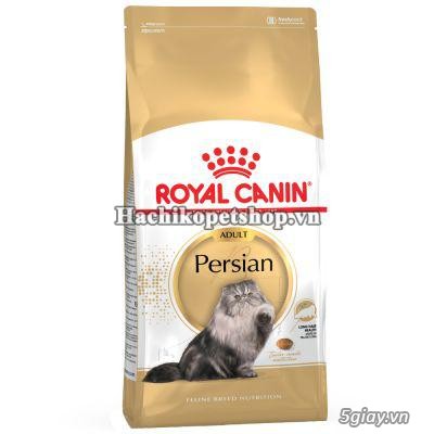 HCM Q10 - Thức ăn cho mèo ROYAL CANIN - Nhập khẩu Pháp. - 12