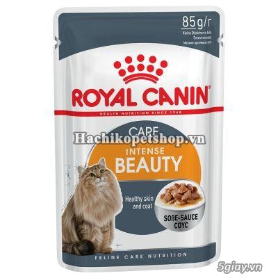 HCM Q10 - Thức ăn cho mèo ROYAL CANIN - Nhập khẩu Pháp. - 15