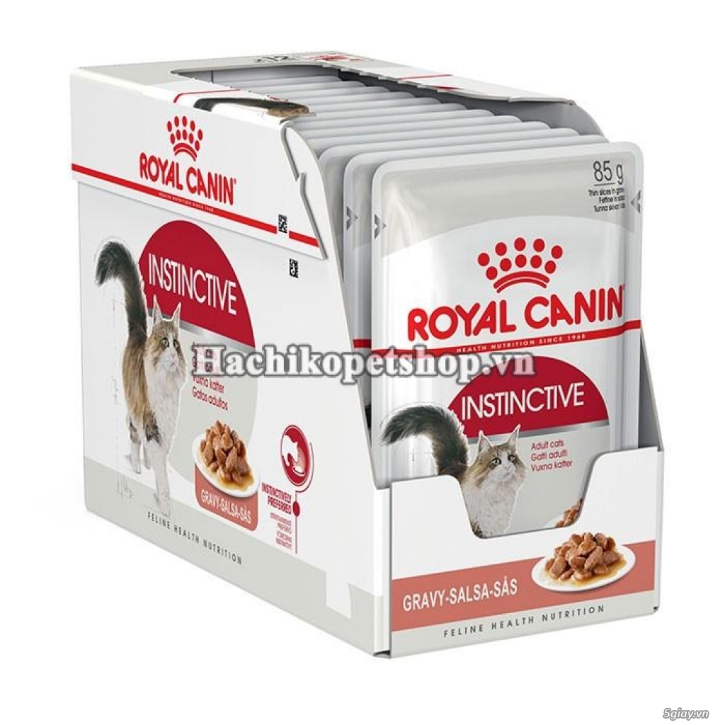 HCM Q10 - Thức ăn cho mèo ROYAL CANIN - Nhập khẩu Pháp. - 16