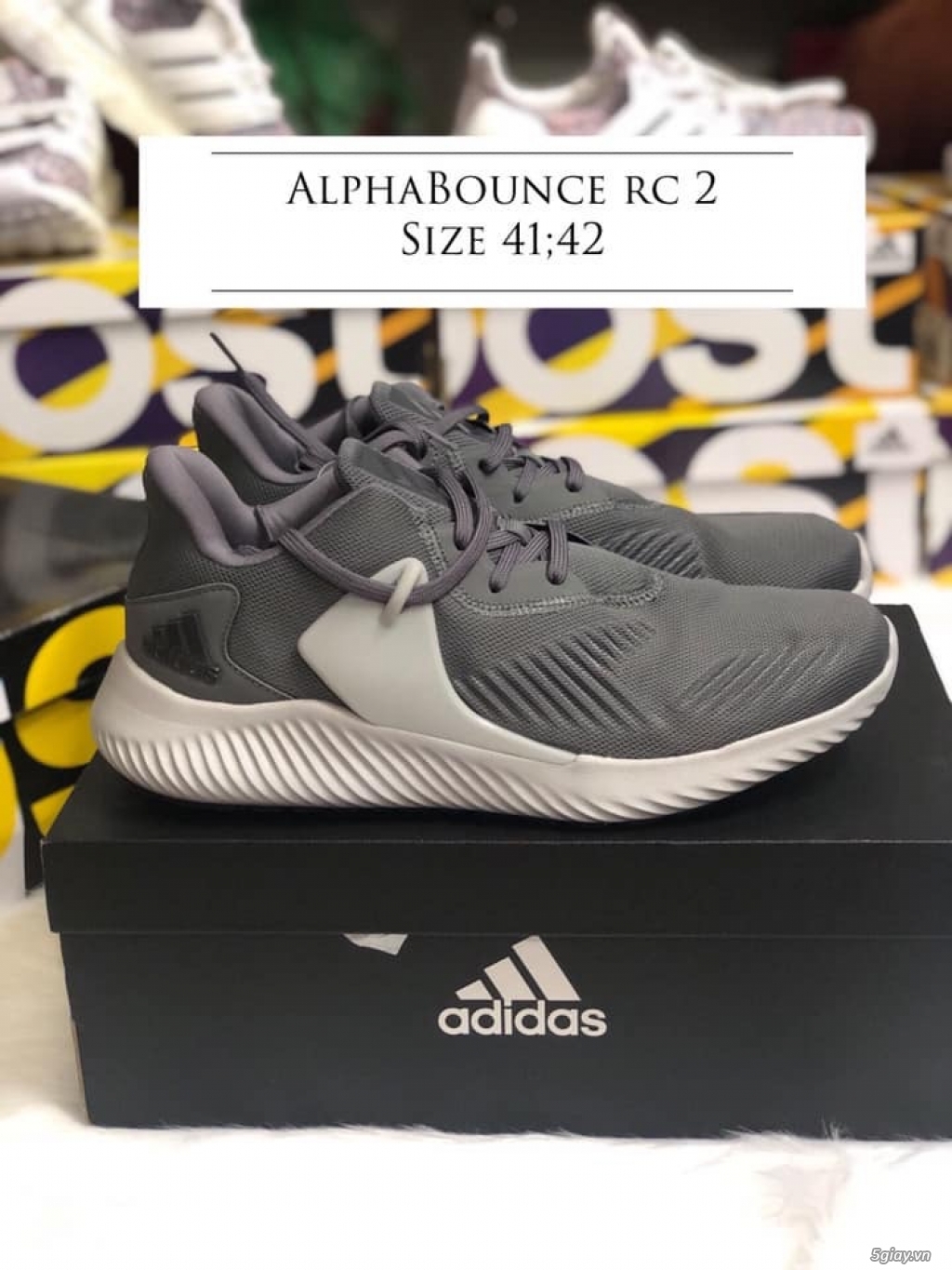 Alphabounce dành cho nam từ 32-60 tuổi