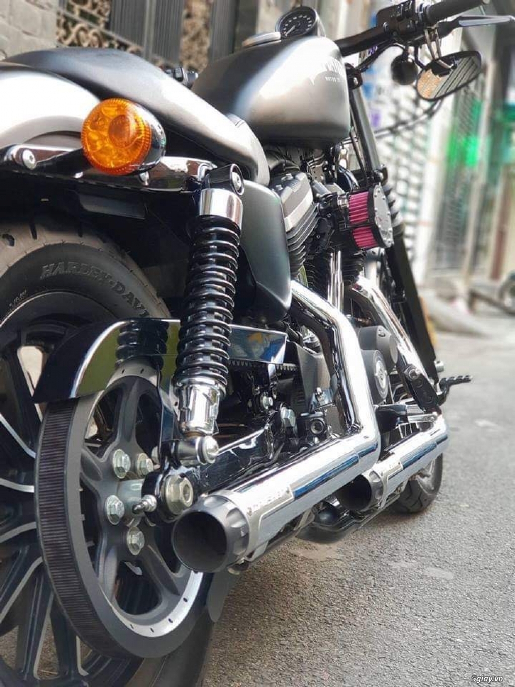 Bán harley davidson iron 883 - 1