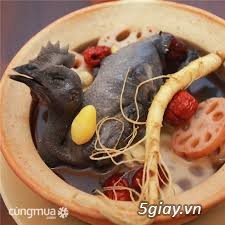 bán gà ác Thanh Hóa