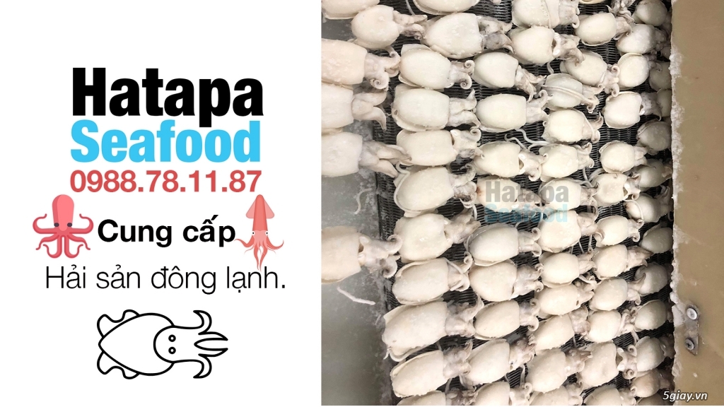 Cung cấp hải sản giá rẻ nhất Việt Nam, hải sản tươi & khô, đông lạnh nguyên chất từ vựa hải sản. - 7